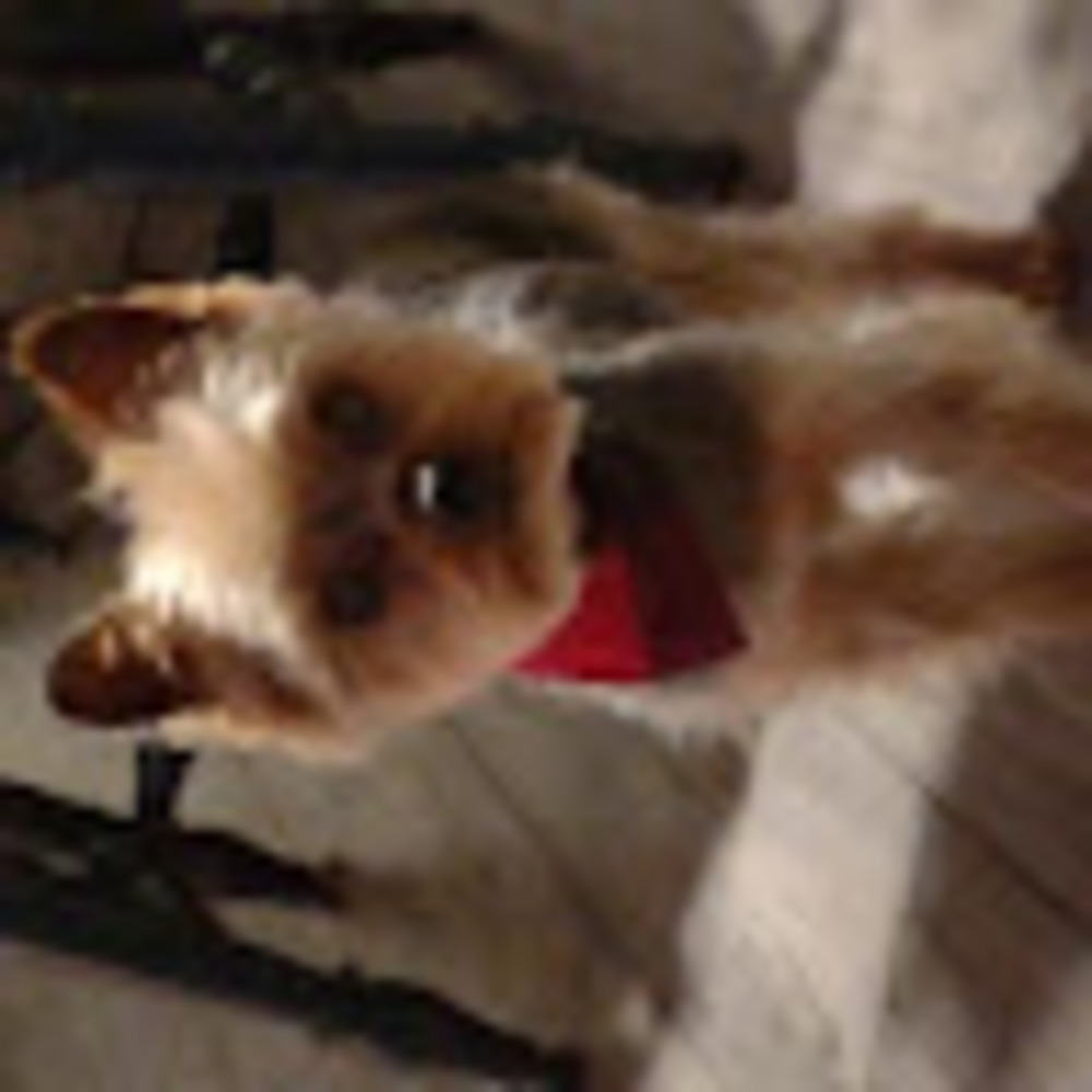 Meet your Posher, Sally